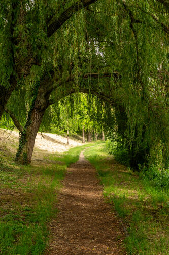 Maros walkway